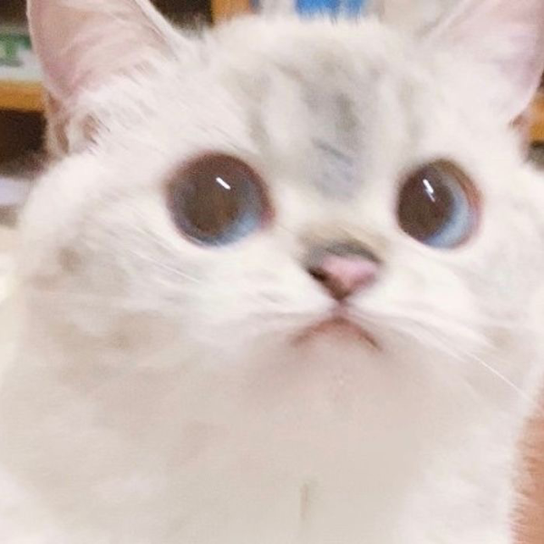 な