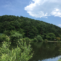 並木道 帰り道