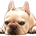いーあーるふぁんくらぶ コラボ用