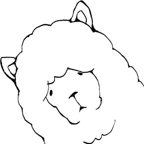 アルパカ