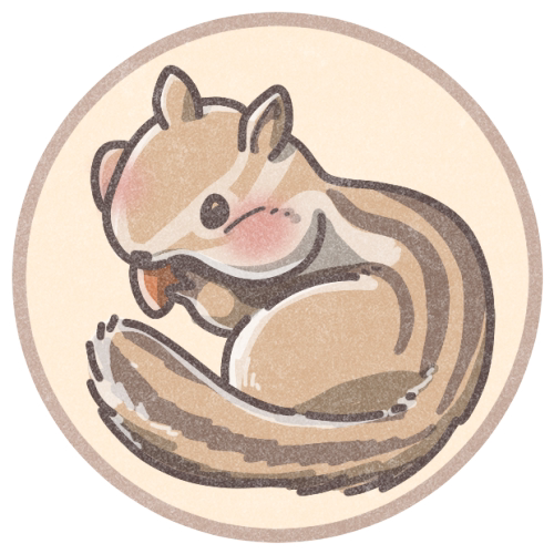 すくりす🐿