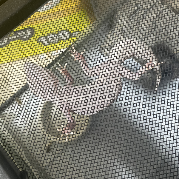 我楽多