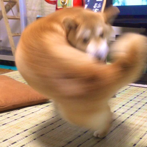 ☾︎ノウェ☽