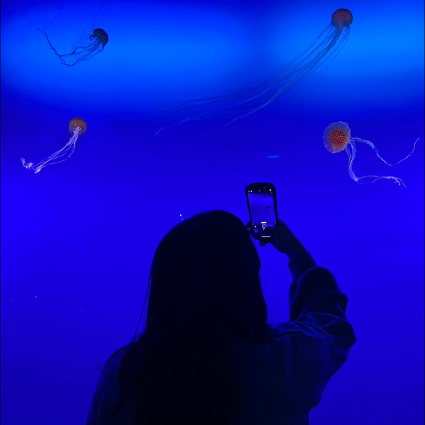 流星群🌟低浮上