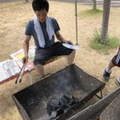 楓