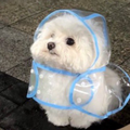 ハイタッチ！