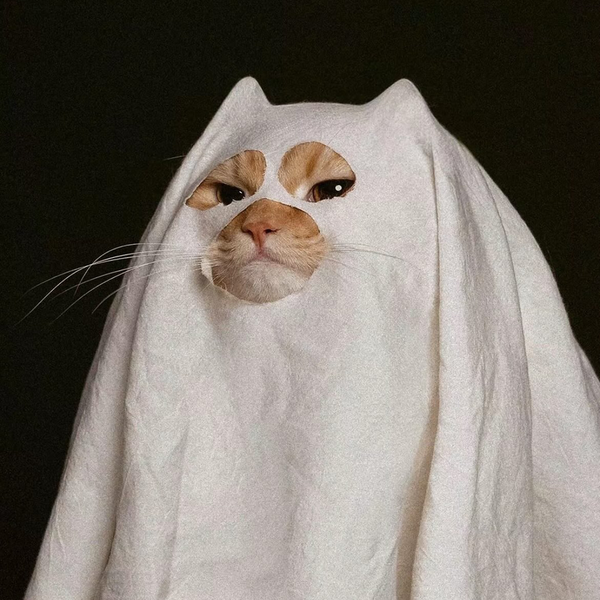 𝕄𝕀𝔼