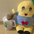 恋のバカンス♦︎コラボ用♦︎