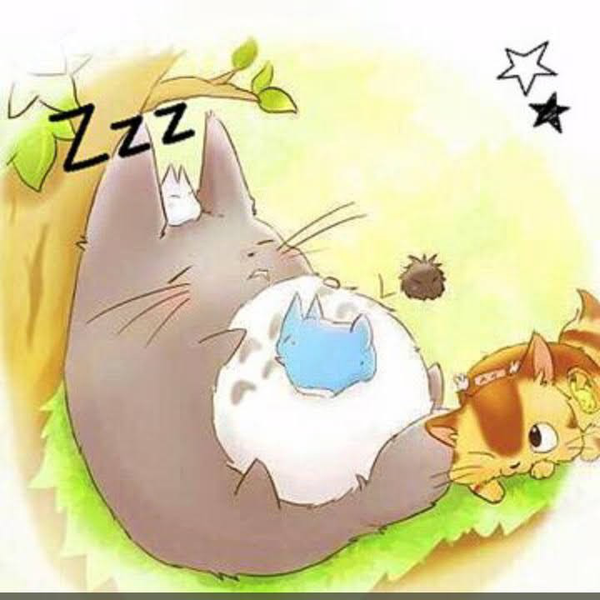 mito ₍˄·͈༝·͈˄*₎◞ ̑̑　お休みから稀に|q･ｪ･*)ﾁﾗっと…
