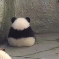 涙をこえて