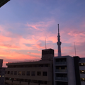虹【女性キー】