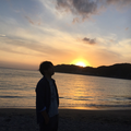 蝶    コラボ済
