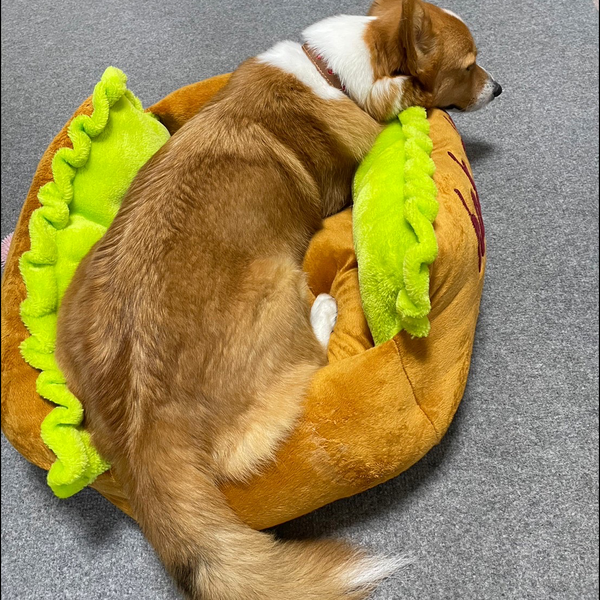 こさ