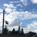 五月の口下手ラジオ(仮)♯4