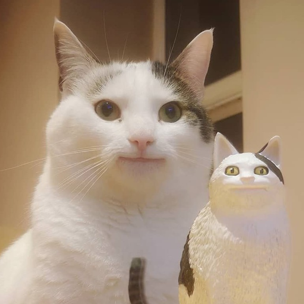 ぱくちぃ