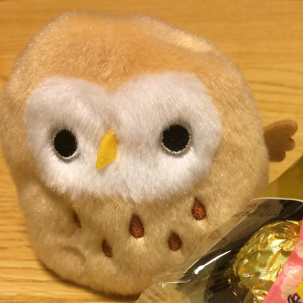 しでのどり