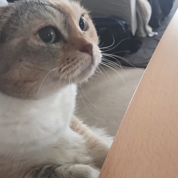 じーちゃん