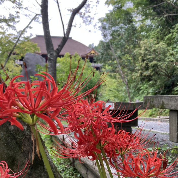 メンガー