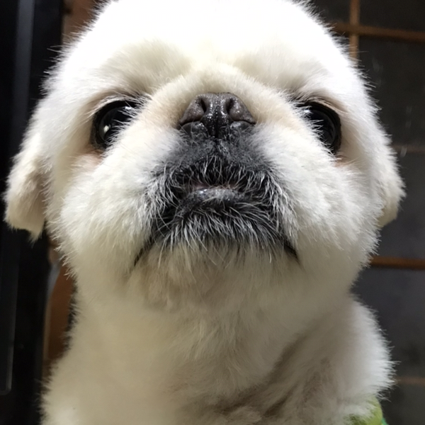 くろくろ