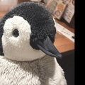 愛を伝えたいだとか
