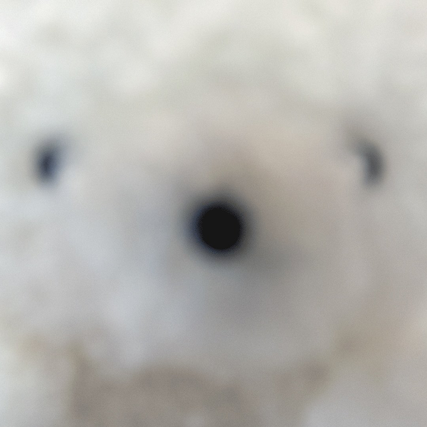 ᴍɪʏᴀ