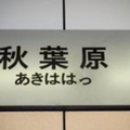 馬と鹿