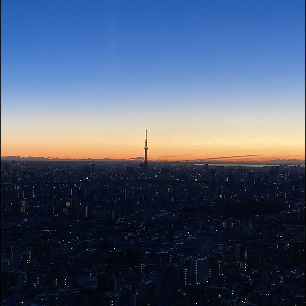 みぃたう