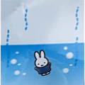 蘇州夜曲
