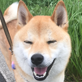 Feel Like dance コラボ用