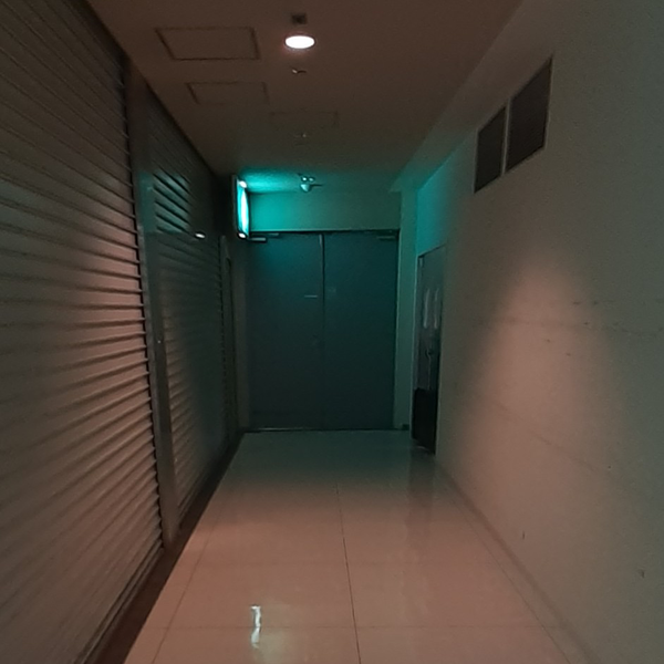 陥落ROM