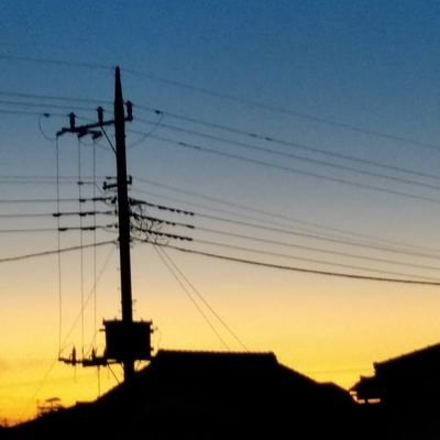 飛電