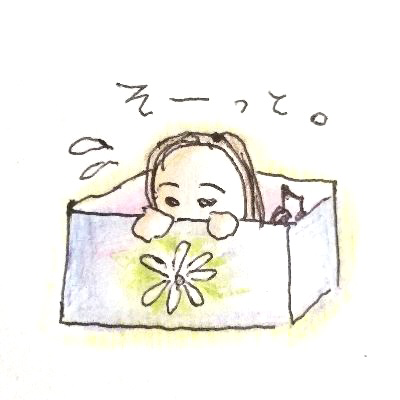 清水はこべ（箱）