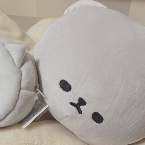 まるぼうず。