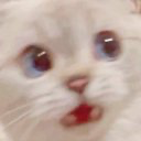 たそ？！