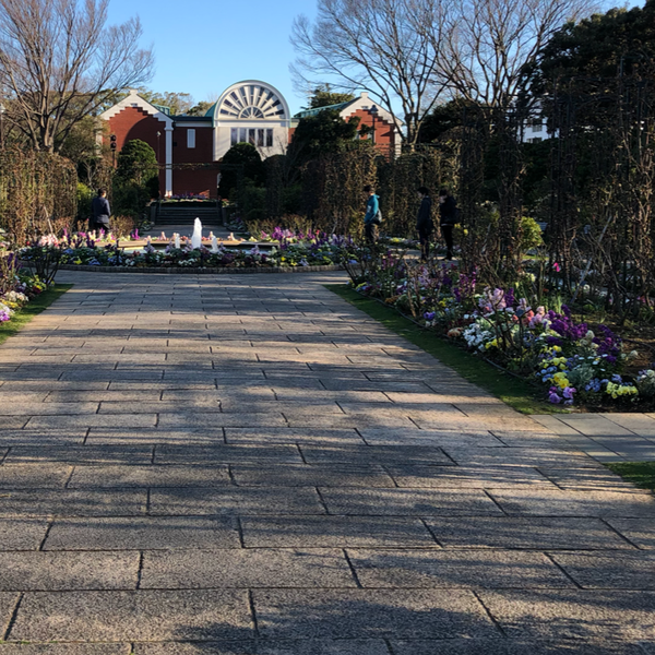 あお