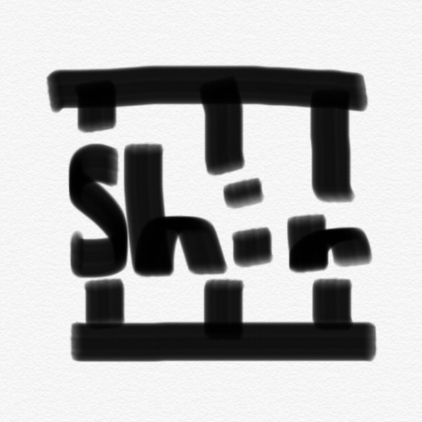 shin    3