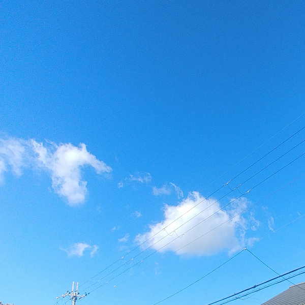ゆうと