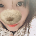 ベイビー・アイラブユー コラボ済