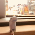 マスカット