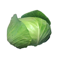 吉原ラメント コラボ^^