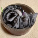 むーた。