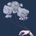 泡沫花火