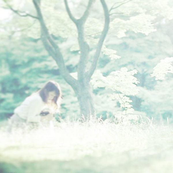 moe*･゜ﾟ･