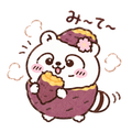 ばかまじめ