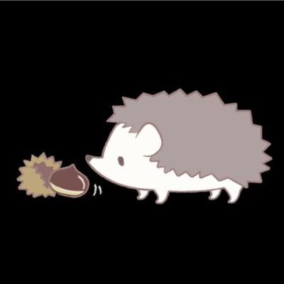 葩瑠
