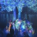 打上花火 コラボ用
