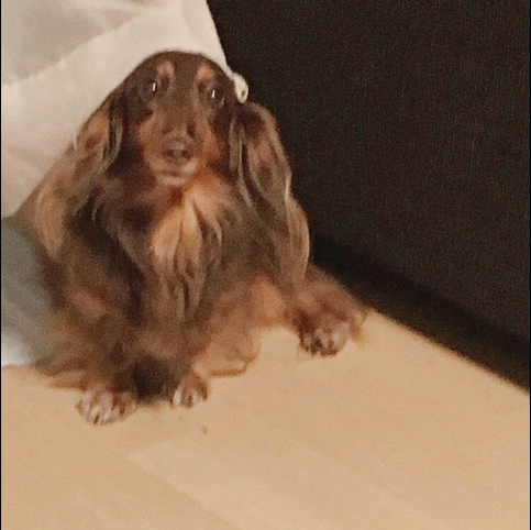 さく