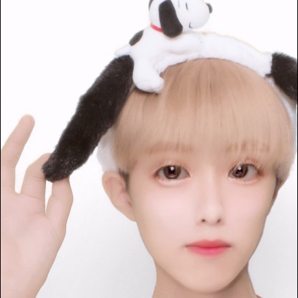 Lov