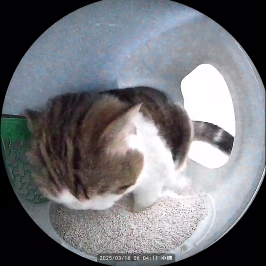 ᶻ
