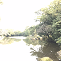 紅蓮華 コラボ済み